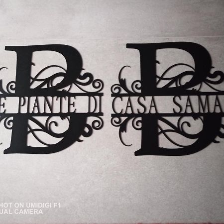 Le Piante Di Casa Samar Panzió Castelguelfo Kültér fotó