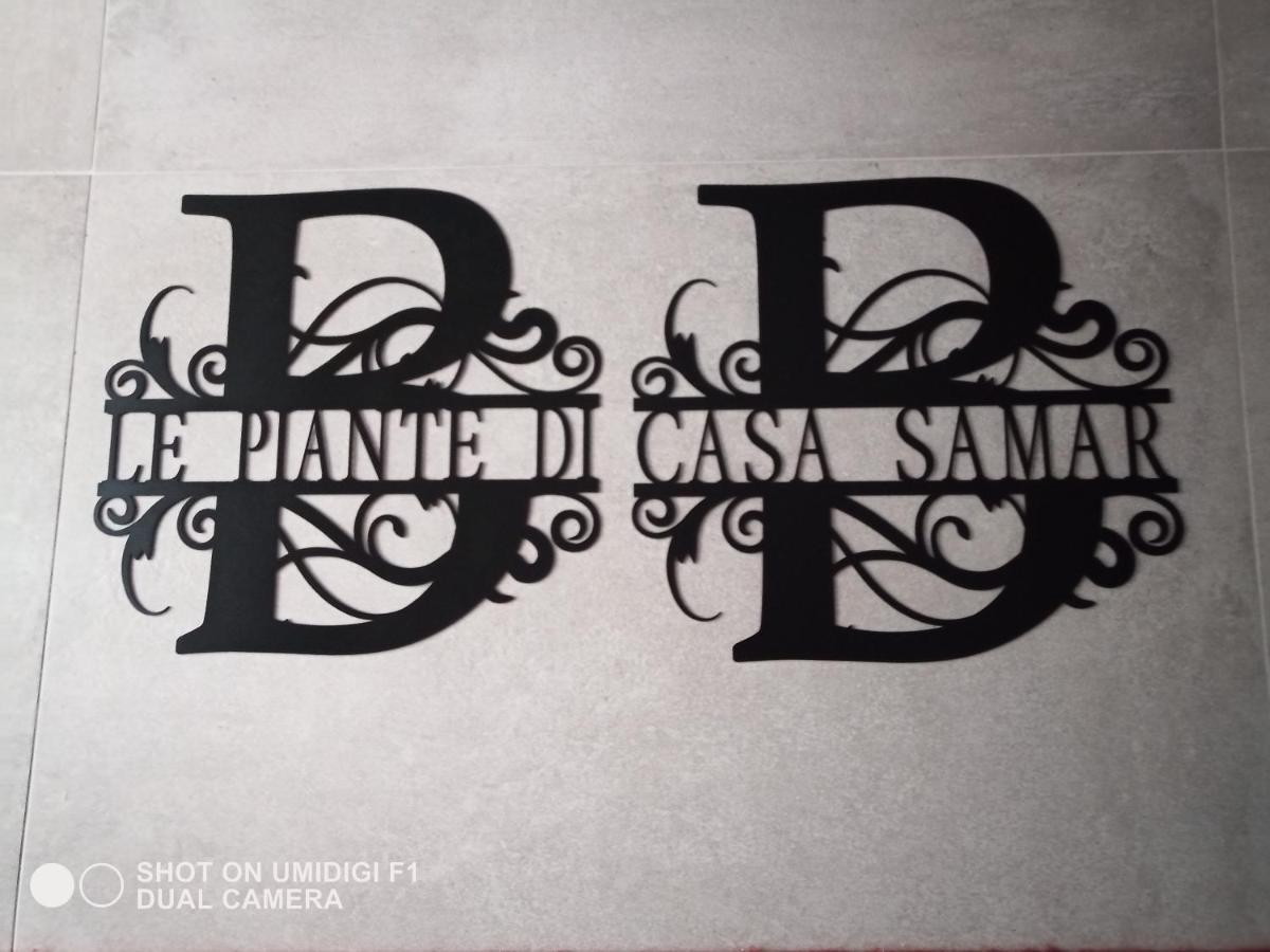 Le Piante Di Casa Samar Panzió Castelguelfo Kültér fotó